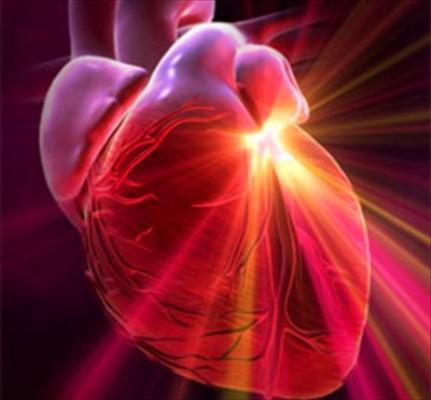 Bệnh tim mạch ở phụ nữ, một báo động đỏ