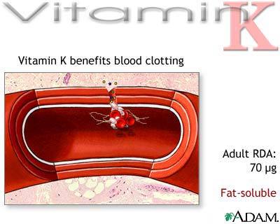 Vitamin K dự phòng xuất huyết