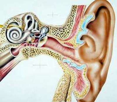 Không nên dùng tăm bông ngoáy tai khi tai dính nước. 