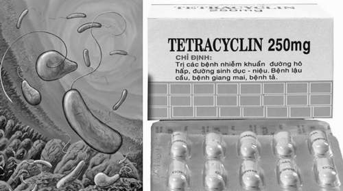  Tuy thuộc thế hệ cũ nhưng tetracycline vẫn là một kháng sinh đặc hiệu cho bệnh tả.