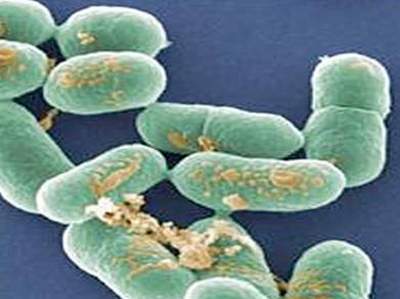 Loạn khuẩn đường ruột do dùng kháng sinh