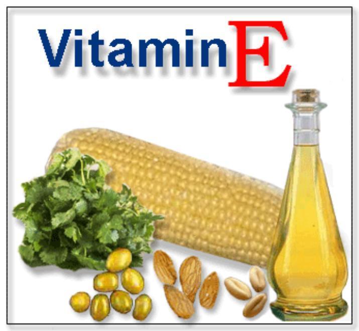 Thiếu Vitamin E làm tổn thương não