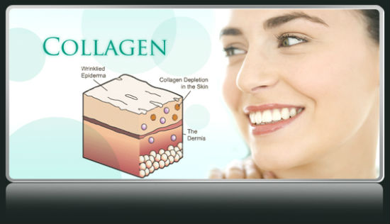 Collagen là gì? Và vai trò của collagen đối với cơ thể