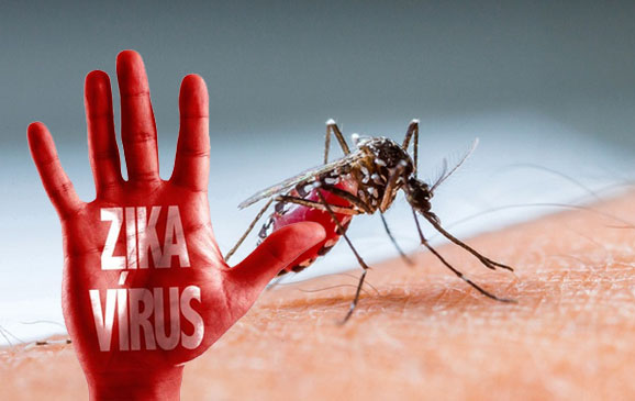 Ứng phó kịp thời với virus Zika đang lan rộng 